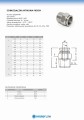 5.2.2 Szybkozłączka prosta BSPT NPT Rt_page-0001.jpg